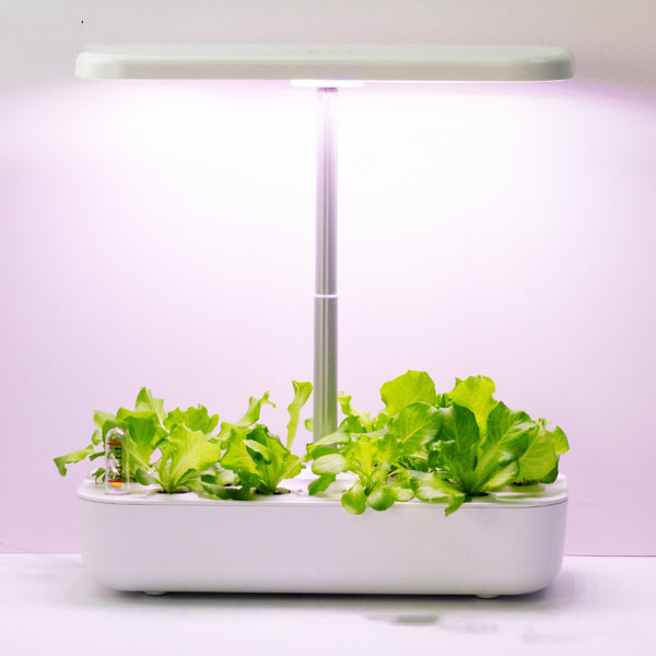 Hydroponic Planter Smart Herb Pot Indoor Garden
